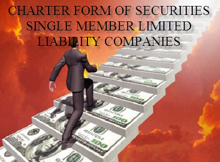 Charter form applicable to securities single member limited liability ...